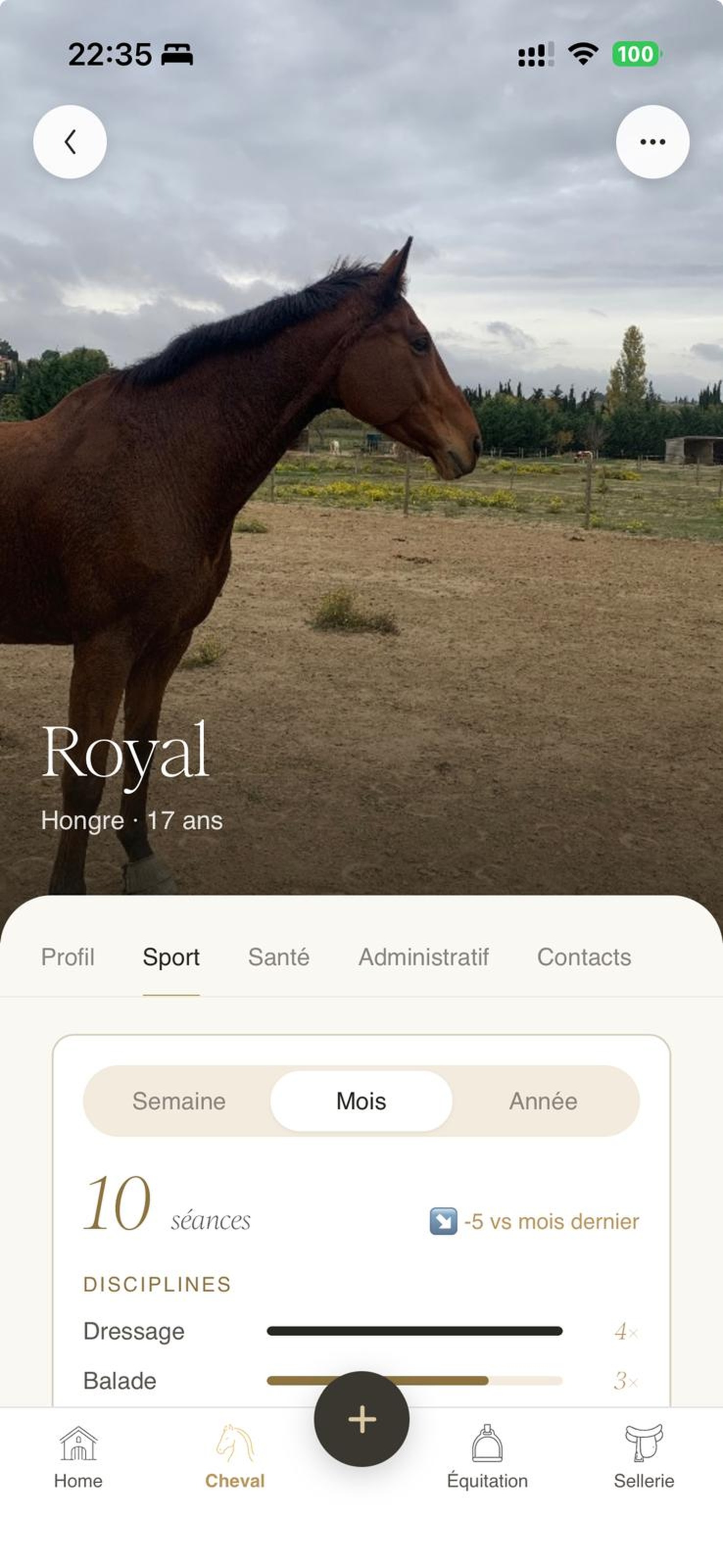 Activité du cheval