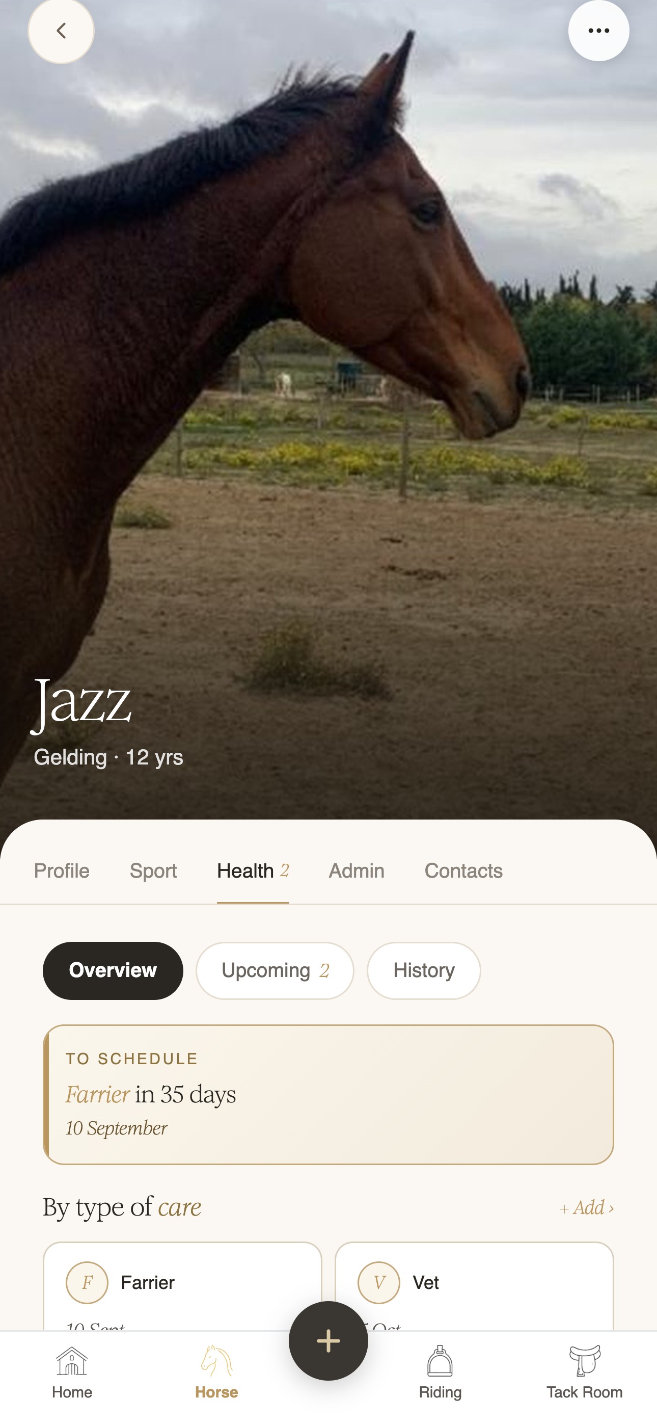 Horse medical tracking